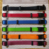 En pakke med Trixie Hvalpehalsbånd i op til 12 forskellige farver, perfekt til kennelere og opdrættere.