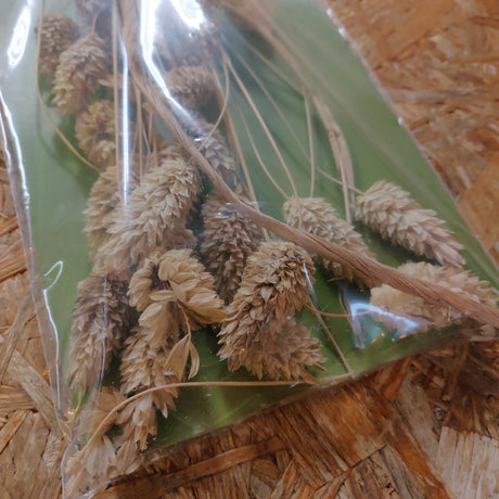 En flok Kanarie frø fra Jr farm i plastikpose, bundtet sammen med stænger af osmedkæledyr.dk.