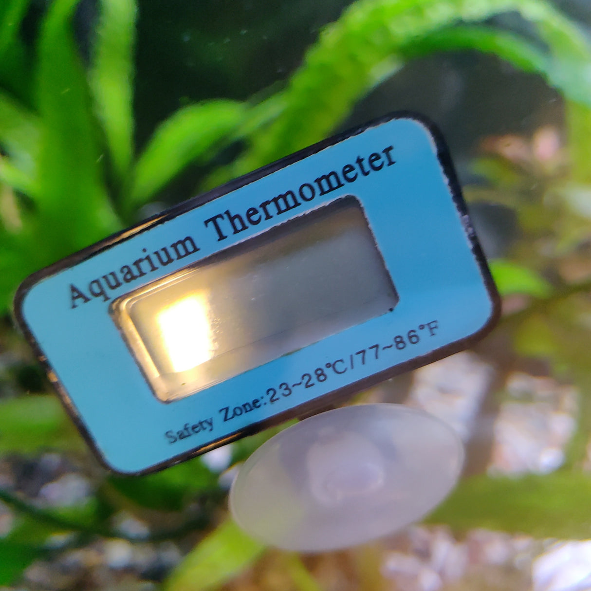 Akvarie digital temperaturmåler fra Aqualight