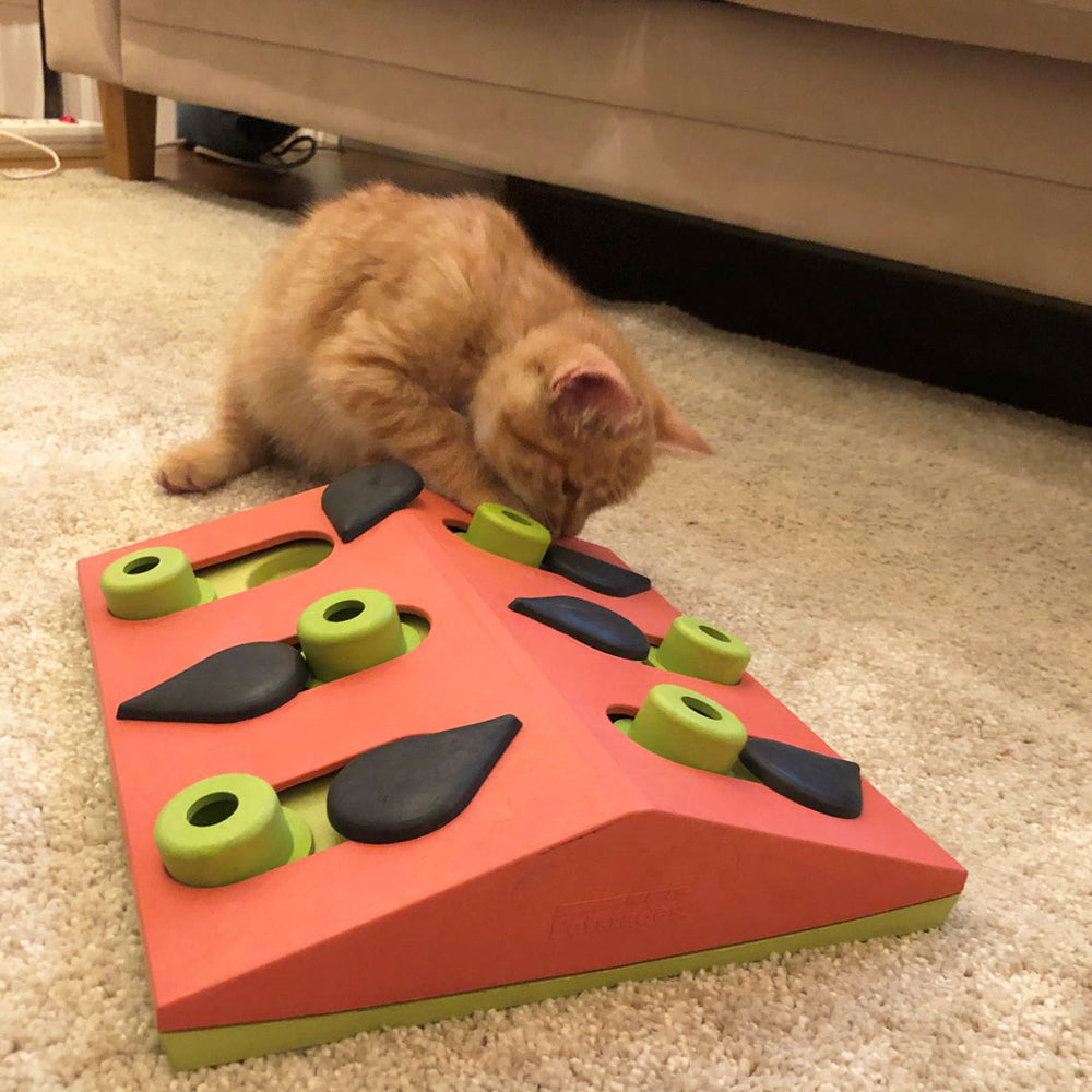 Aktivitet til katte, Nina Ottosson Melon Madness