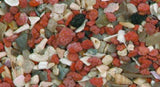 Nærbillede af en bunke røde og hvide Versele-Laga Østersskaller.