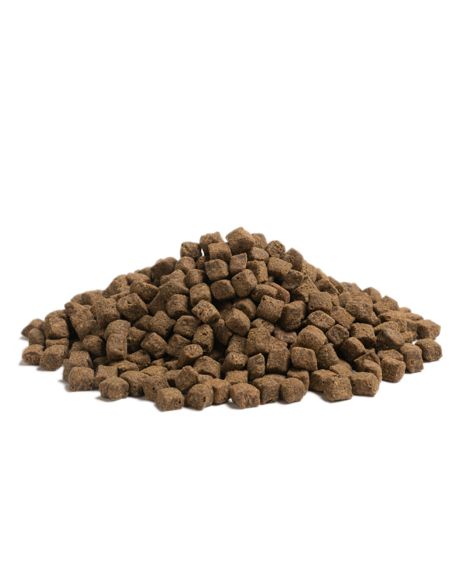 An Essential Older small size, 3 kg kornfrit hundefoder med kylling & og til de ældre hunde BOF på sort baggrund.