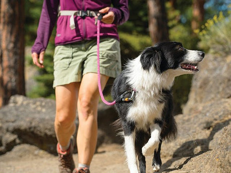 En kvinde, der nyder en fredelig gåtur med sin lodne ledsager på Ruffwears Ruffwear Hundeline, en robust og holdbar snor midt i skovens fredfyldte skønhed.