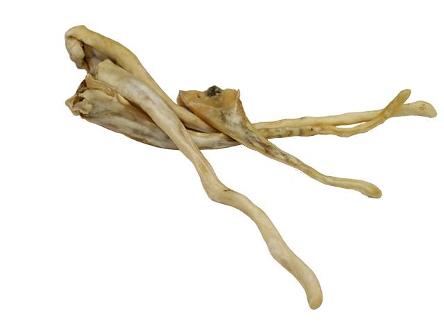 En Lammehaler, allergivenligt til hunde skeletsystem på hvid baggrund.