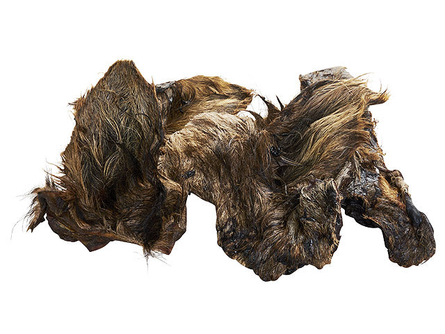 Hundesnack, Kamelører, til hunde