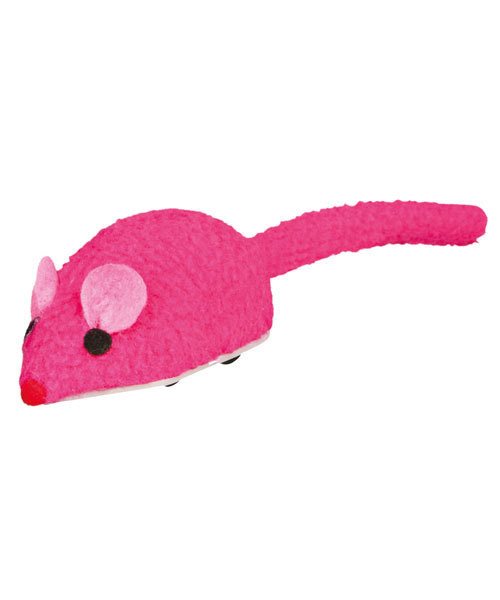 Speedy mus, til katte