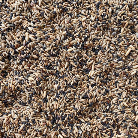 Et nærbillede af en bunke Kanariefoder LUX 4 kg frø i forskellige farver, der ligner farvechips fra Bird Supreme.