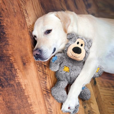 En labrador retriever liggende på et trægulv med en udstoppet bamse. Labradoren ser yndig og kælen ud, da den hviler ved siden af de bløde og elskelige Kong Wild Knots, solide hundebamser X-small/Small.