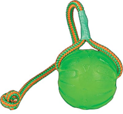 En grøn Starmark Hundelegetøj Slidstærkt Swing ´n Fling Chew Ball med et reb fastgjort til, perfekt til hundelegetøj til at bekæmpe kedsomhed og opmuntre til behandling.
