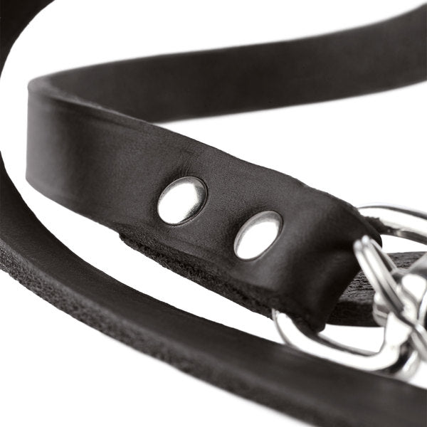 Et nærbillede af en Hunter Hundesnor dressur sort lædersnor med metalspænde.