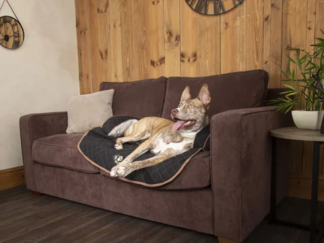 Hundeseng "Scruffs Wilton" - Luksus hundeseng til din sofa