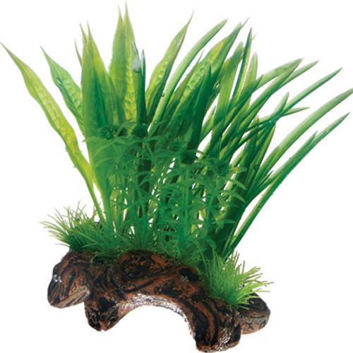 Akvarie - Akvarie plastplante 2 med tung fod - Hvor kæledyr ville handle - Foderboxen.dk