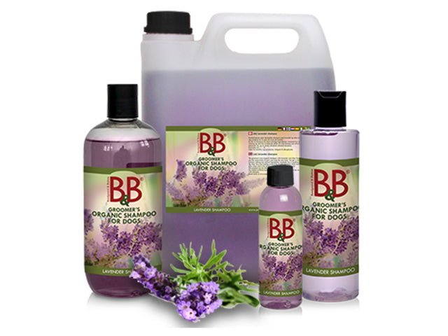 En flaske B&B økologisk hundeshampoo med Lavendel og en flaske balsam, perfekt til dem, der elsker økologiske produkter og den beroligende duft af lavendel.
