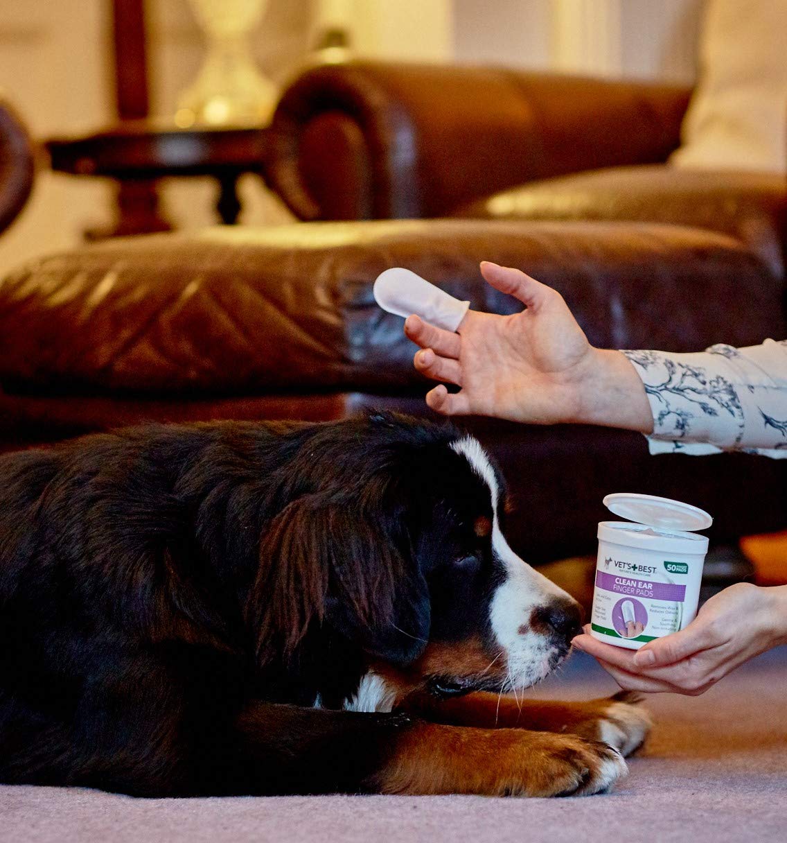 En kvinde, der bruger Øre Vådservietter til fingeren, 50stk fra Vet's Best til at passe på en hunds hygiejne og sundhed.