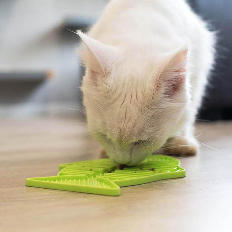 Lickimat, en hvid kat, leger med et grønt Madskål med dupper-legetøj på gulvet.