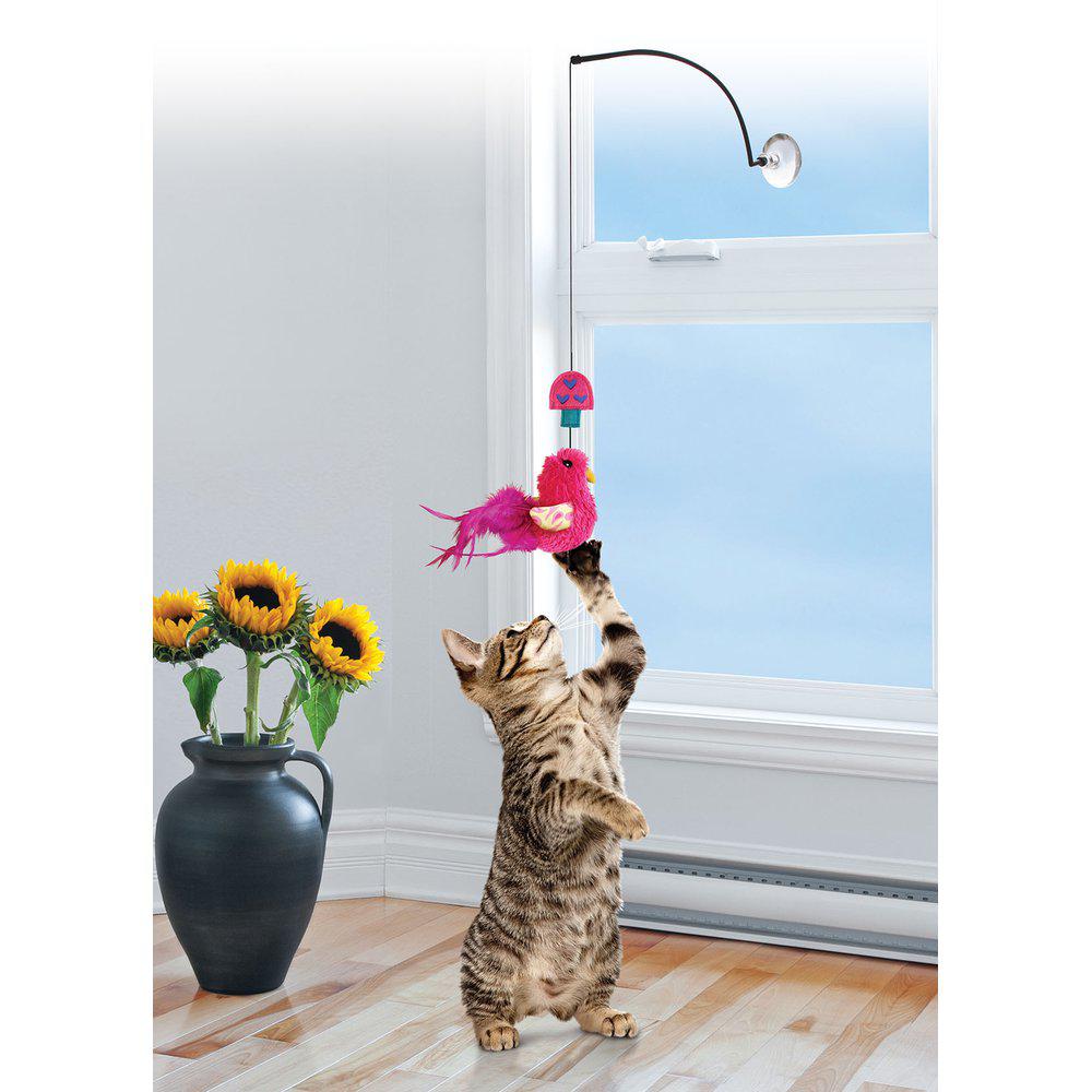 En kat leger med et Kong Kattelegetøj, hænges på vinduet legetøj foran et vindue.