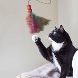 En sort og hvid kat leger med et Kong Kattelegetøj, Drillepind Wubba Boa Teaser 46 cm legetøj.