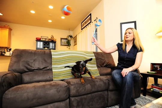 En kvinde, der sidder på en sofa med en hund, der leger med en Chuckit Indoor Ball (indendørs fed) fra Chuckit.