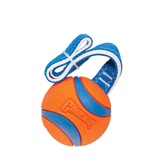 En Chuckit Ultra Tug hundebold med et nylon håndtag påsat.