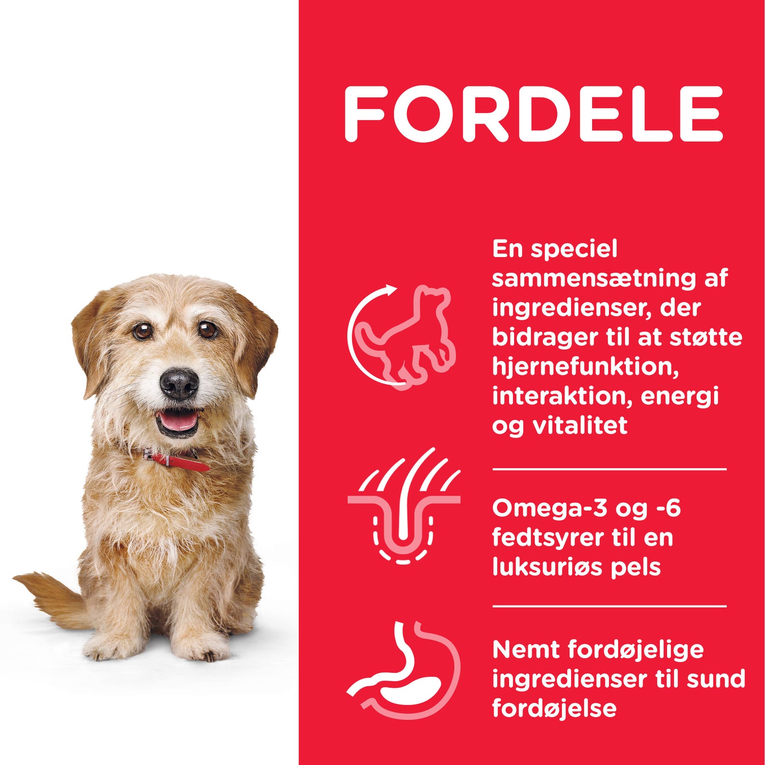 Fordle hundefoder er specielt formuleret til små hunderacer og giver essentielle omega-3 og omega-6 fedtsyrer. Giv din lodne følgesvend Hill's Youthful Vitality til små racer over 7 år med kylling og ris hundefoder fra Hills Science Plan for at støtte deres