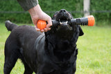 En sort labrador hund leger med et orange legetøj kaldet Dog Comets Gummi Pind til hunde - holdbar kastepind til hunde.