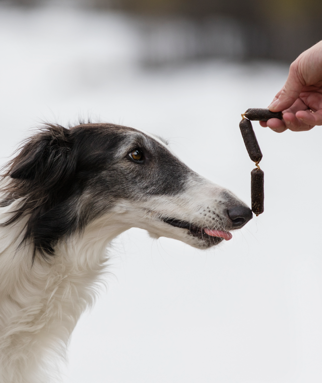En luksuriøs godbid, ESSENTIAL fineste vildt & andepølser (hjort & og) 8 stykker luksus godbid!, håndfodres til en sort/hvid hund.
