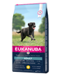 Eukanuba foder til voksne store hunde