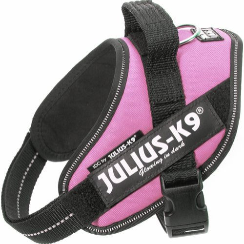 En Hundesele, Julius K9 IDC sele, pink hundesele med ordet JULIUS på, lavet med Øko-Tex foer.