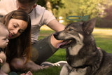 En miljøvenlig familie med en baby og en hund i en park, der bruger Høm Høm hundeposer, miljøvenlige fra PoopyGo 15 poser (1 rulle) og nyder den beroligende lavendelduft.