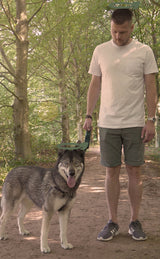 En mand, der står ved siden af en hund med en PoopyGo biologisk nedbrydelig frisbee.