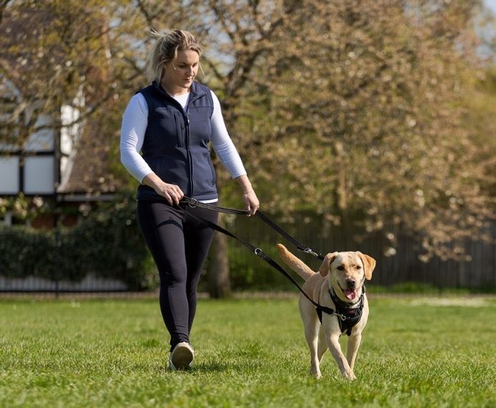 NO-PULL Harness, træningssele til hunde der trækker