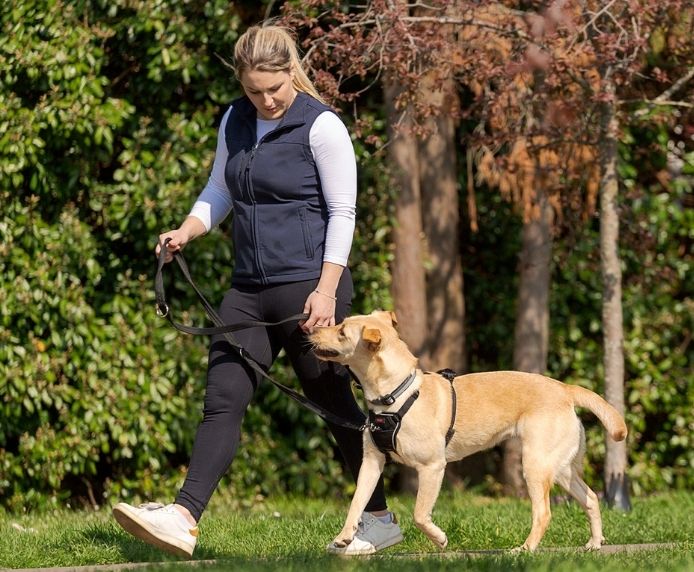 NO-PULL Harness, træningssele til hunde der trækker