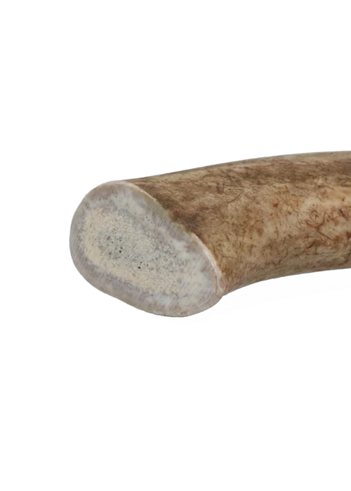 Hård Kronhjortegevir viking horn til hunde (Flere størrelser)