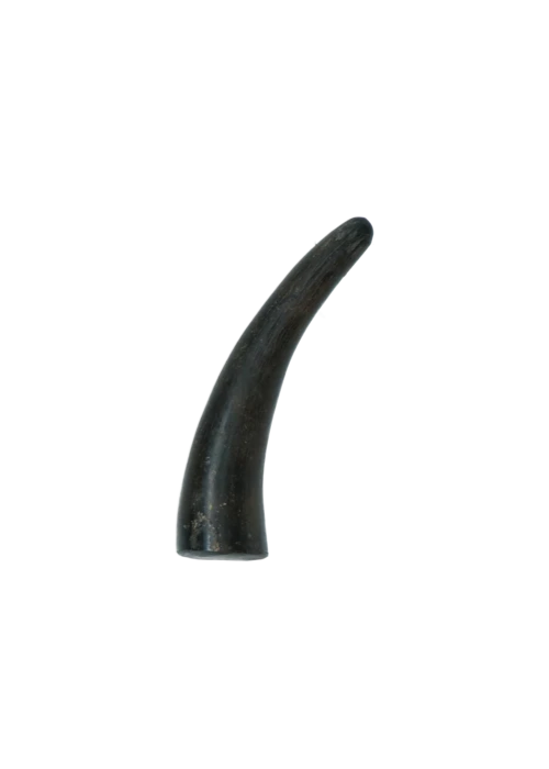 Helt solid viking horn til hunde (Flere størrelser)