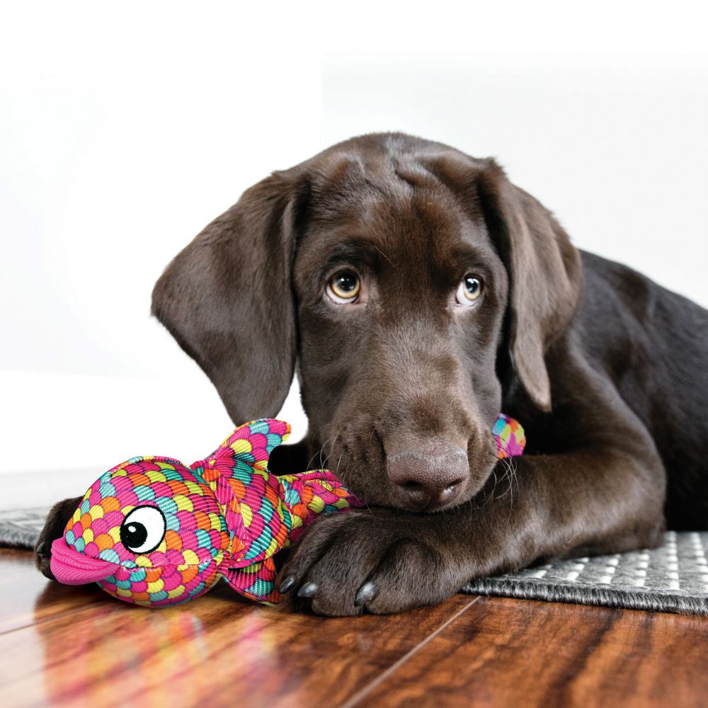 En brun hund leger med et Kong Wubba Finz-legetøj på gulvet.

Revideret sætning: En brun hund leger med et Kong Wubba Finz, holdbart og slidstærkt hundegetøj, på gulvet.