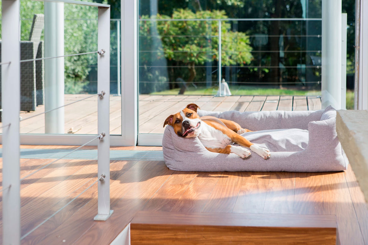 En ortopædisk hund, der ligger i en Fantail Hundeseng Fantail Snooze Iconic Pink en lækker grå/pink seng med høj kant på et trægulv.