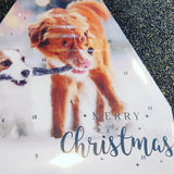 En Vitakraft juleadventskalender med to hunde på, fyldt med uimodståelige hundegodbidder, kaldet Julekalender Hund, med kødgodbidder fra Vitakraft.