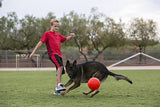 En dreng der leger med en Jolly fodbold - holdbar fodbold til hunde og en hund.