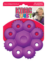 Kong Quest star pods hundelegetøj i lilla, perfekt til hunde.