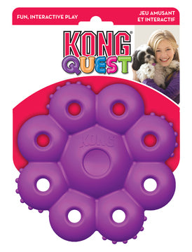 Kong Quest star pods hundelegetøj i lilla, perfekt til hunde.