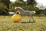 En hest, der leger med en Heste Bold 100 cm - Maximus Power Play Ball af Jolly Pets på en mark.