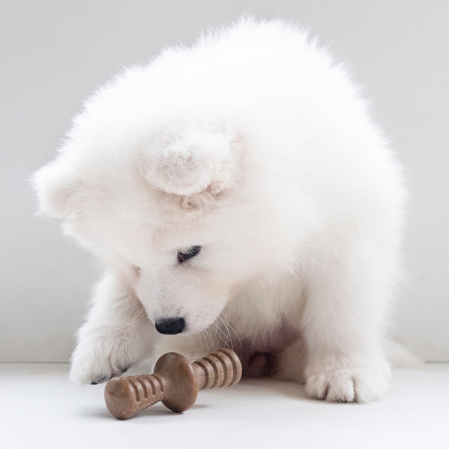 Benebone hvalp 2-pack