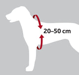 Et diagram, der viser størrelsen på en hund og de egnede biltyper baseret på dens størrelse med Sikkerhedsle til din hund af Trixie.
