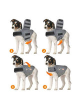Fire billeder viser en hund iført en Thundershirt til hunde kan berolige og afhjælpe angst.