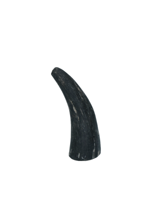 Hele viking horn til hunde (Flere størrelser)