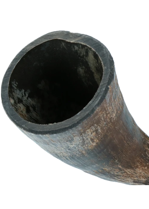 Hele viking horn til hunde (Flere størrelser)