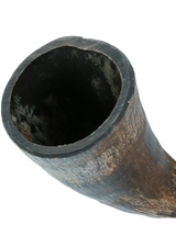 Hele viking horn til hunde (Flere størrelser)