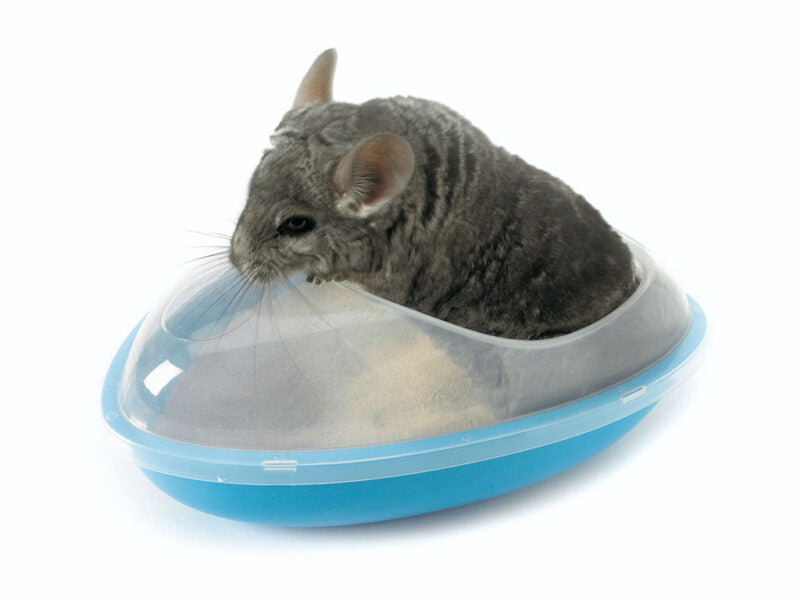 Wellness - Chinchilla bad