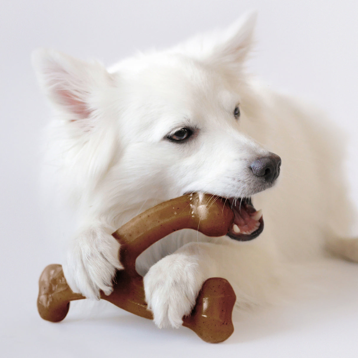 Benebone Wishbone bacon