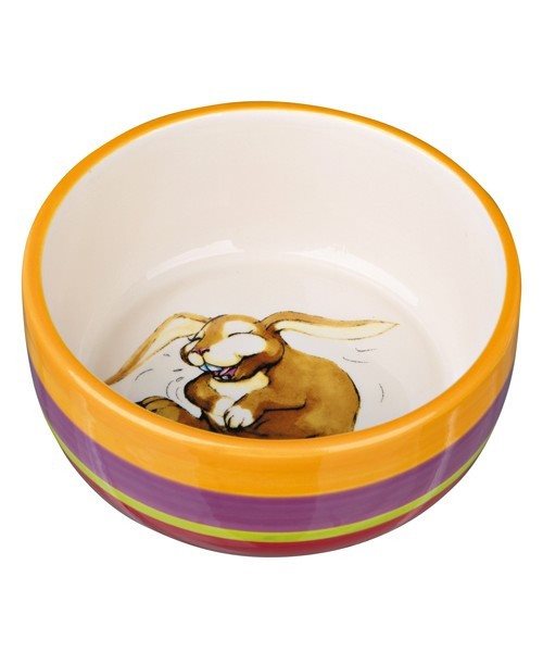 Kanin skål med sjovt motiv